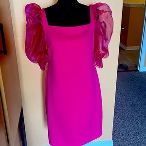 Hot pink/magenta dress w/ puffy sheer cap sleeves